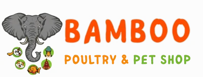 Bamboo Petshop