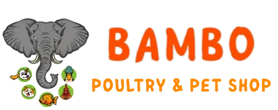 Bamboo Petshop